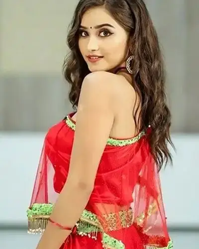 Call Girls Service Navsari